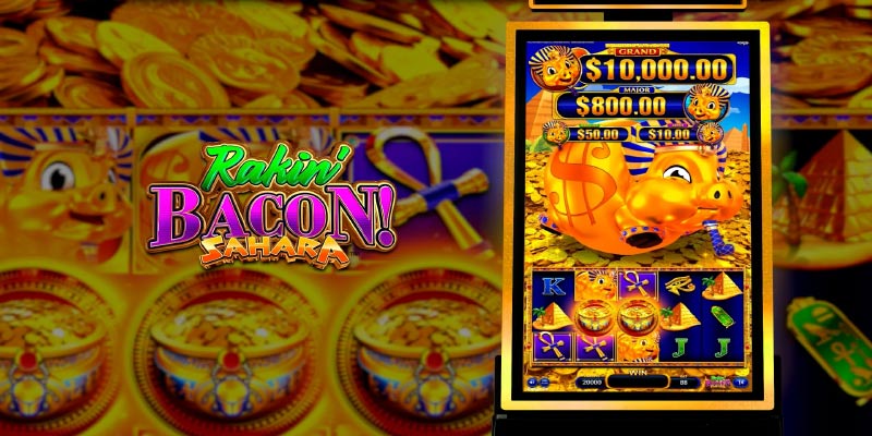 Discover the Mystical Desert with Rakin Bacon Sahara Slot!