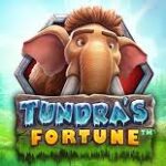 Tundras Fortune Slot